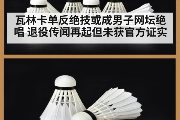 瓦林卡单反绝技或成男子网坛绝唱 退役传闻再起但未获官方证实